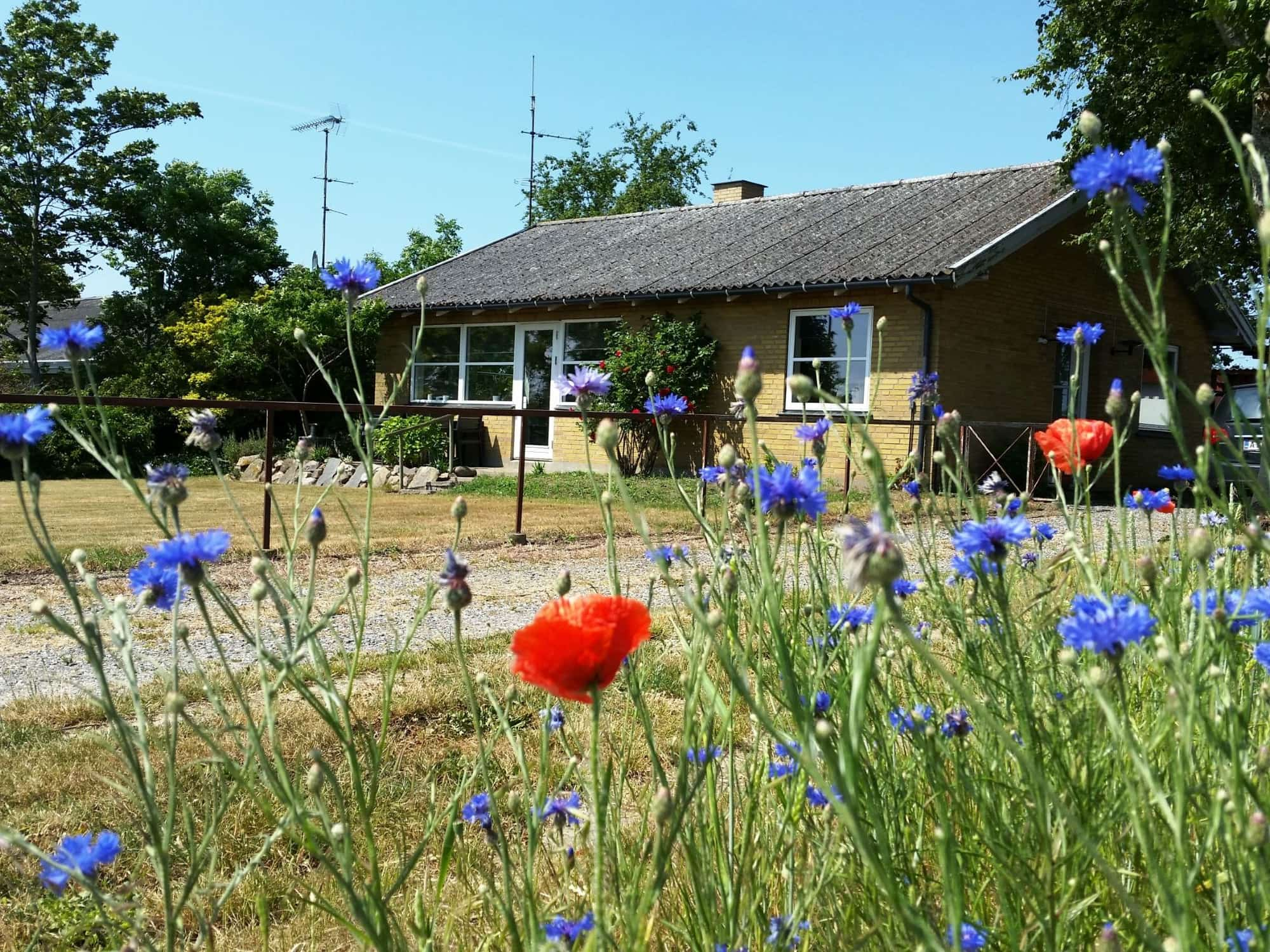 Bo-Her, Sommerhus Møn i Røddinge